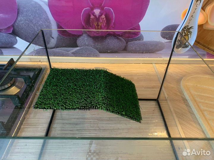 Террариум для красноухой черепахи