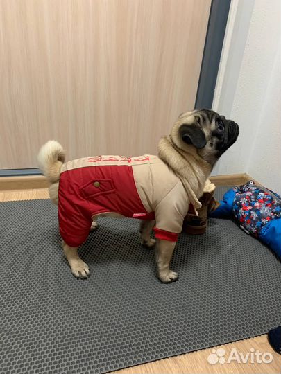 Теплый костюм для собаки