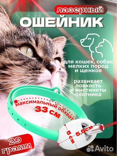 Игрушки для животных