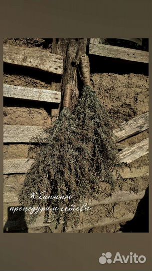 Банные веники. Полынь горькая