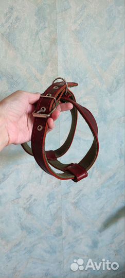 Шлейка кожаная для собаки