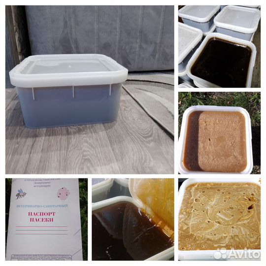 Мед с Алтая