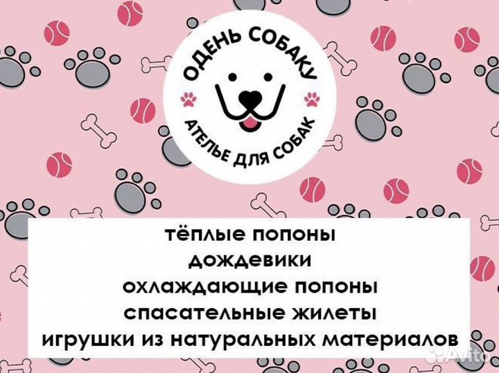 Пошив одежды для собак на заказ