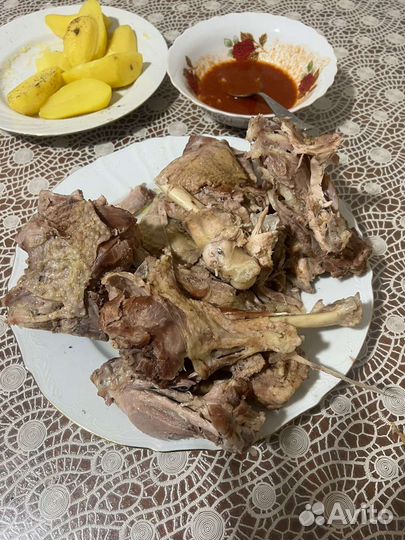 Индюшка, индейка