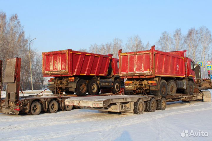 Услуги Трала Перевозка негабаритных грузов