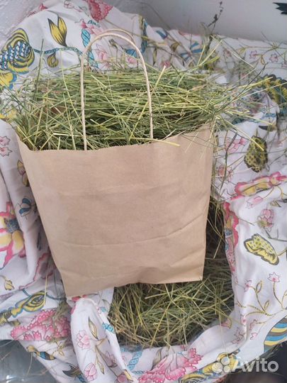 Сено для домашних животных