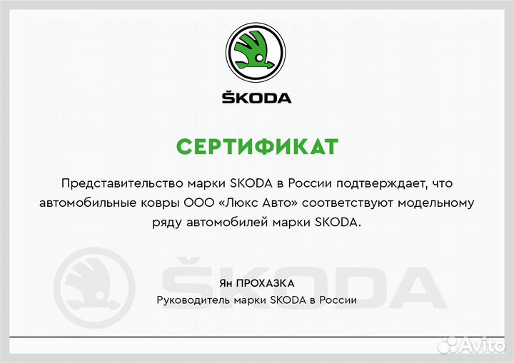 3D Коврики Skoda из Экокожи