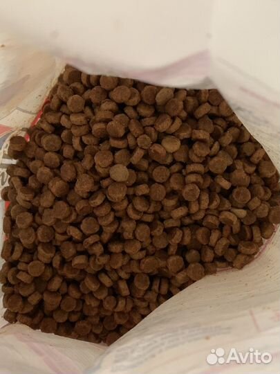 Корм для собак hills