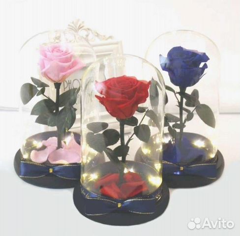 Роза в колбе. Неувядающая