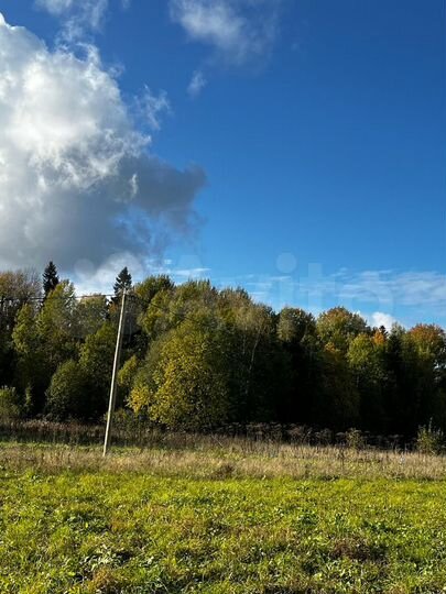 Участок 6 сот. (СНТ, ДНП)