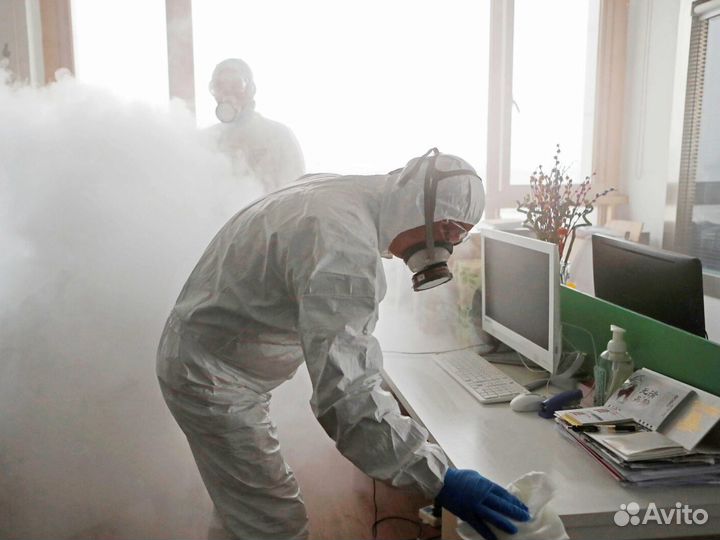 Уничтожение тараканов клопов грызунов дезинфекция
