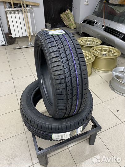 Ikon Tyres Nordman SX3 215/55 R16 97H