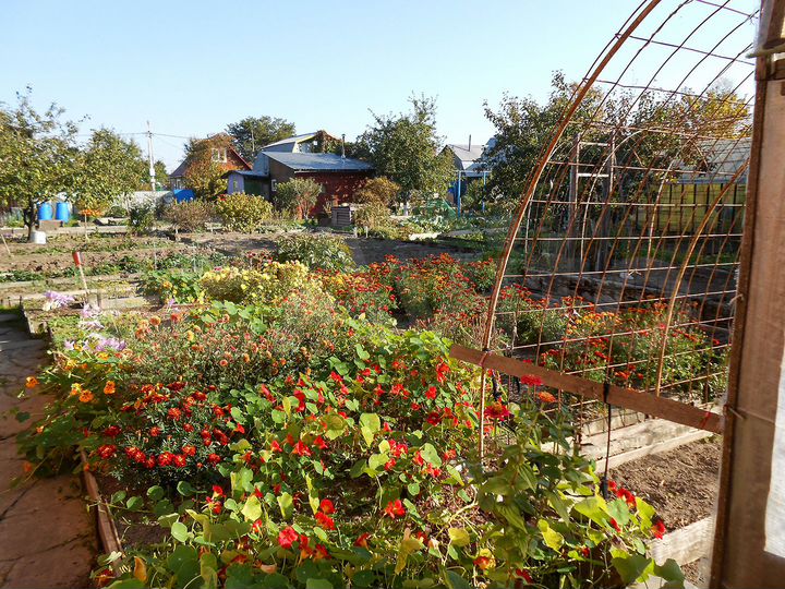 Дом 51 м² на участке 5 сот.