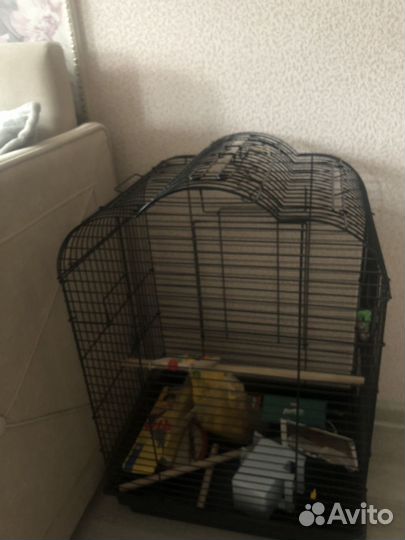 Клетка для попугая корелла