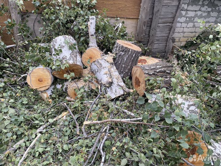 Дрова березовые