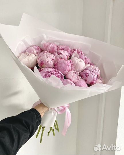 Пионы цветы крупные розовые премиум доставка