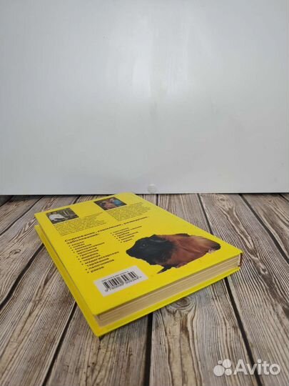 Зверинец в квартире - книга по уходу за животными