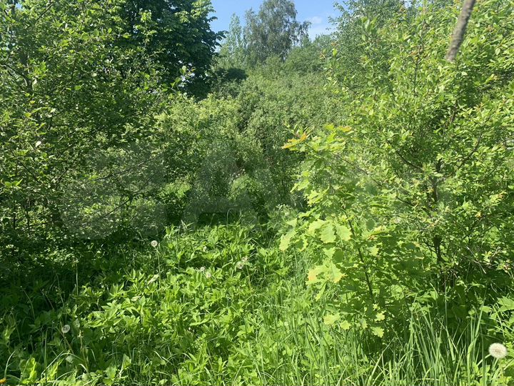 Участок 7,6 сот. (СНТ, ДНП)