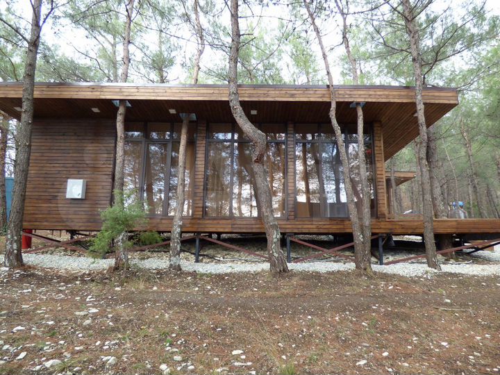 Дом 50 м² на участке 50 сот.