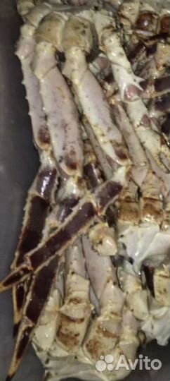 Камчатский краб,клешни крупные