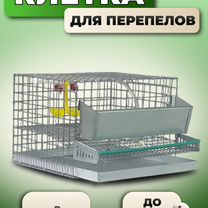 Клетка для перепелов на 8-10 голов, Солнечногорск
