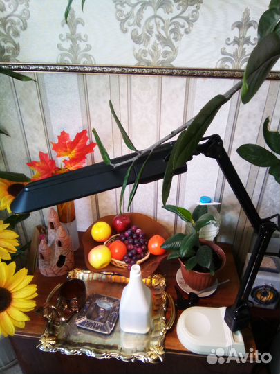 Настольная лампа Viromax 11W 220V