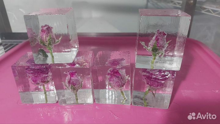 Дикий цветочный лед 15130 гр