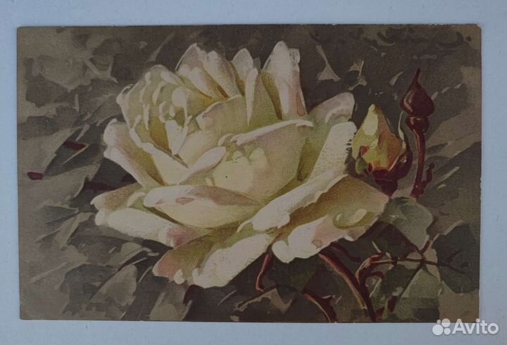 Старинные открытки Катарина Кляйн