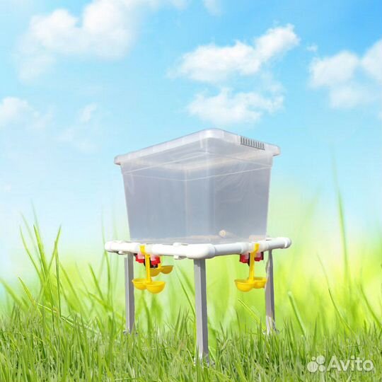 Поилка для кур