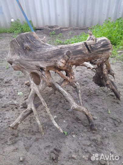 Шедевр Природы