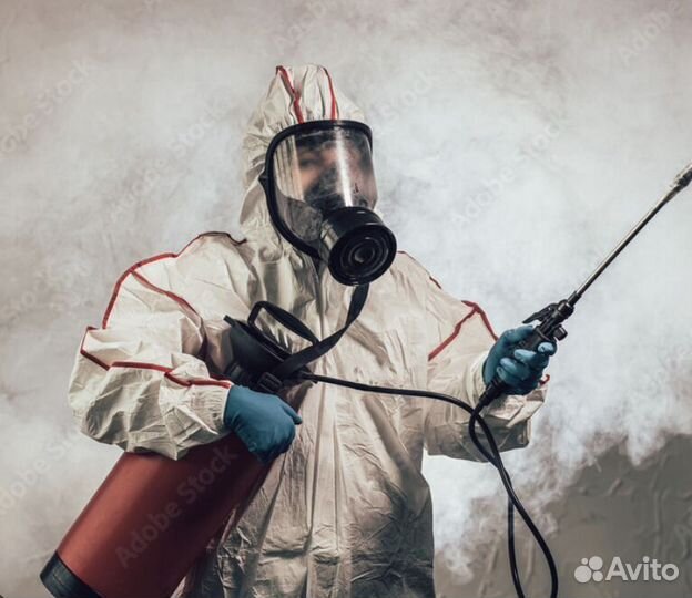 Дезинсектор