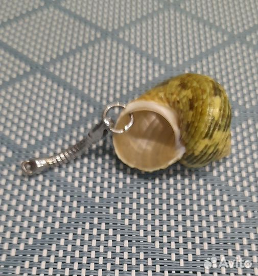 Ракушка-брелок