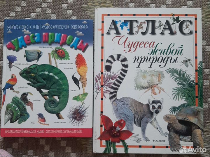 Энциклопедия для детей