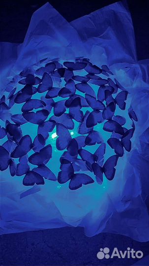 Букет из бабочек