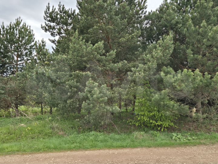 Участок 20 сот. (ИЖС)