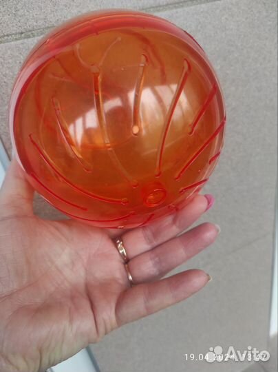 Шар для джунгарика