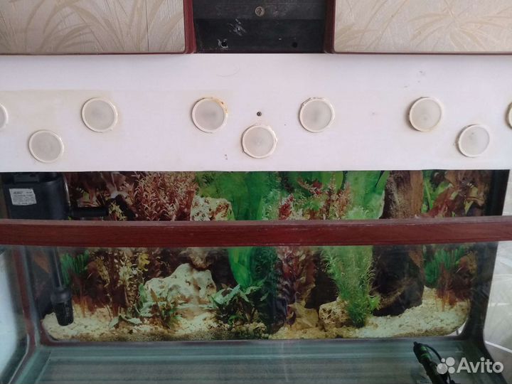 Аквариум