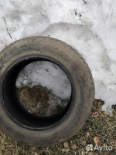 Pirelli Winter Cinturato 195/65 R15