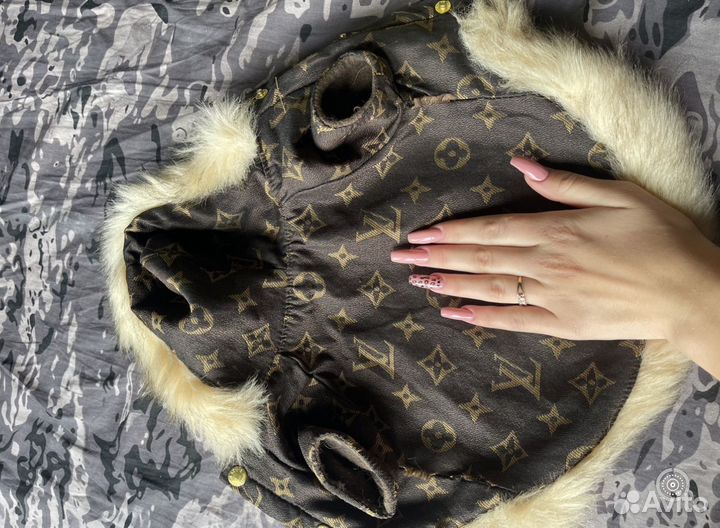 Костюм для собаки