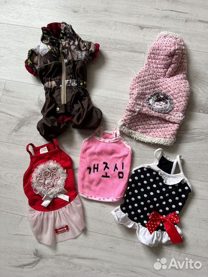 Одежда для маленьких собак