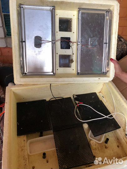 Инкубатор для яиц