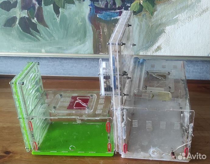 Муравьиная ферма бу