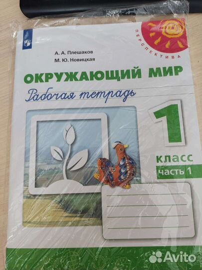 Рабочая тетрадь окружающий мир 1 класс