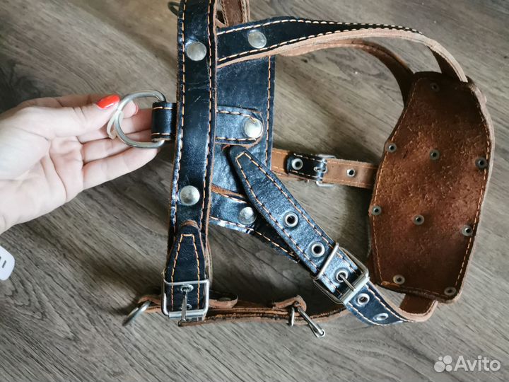 Шлейка для большой собаки кожаная