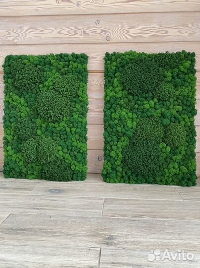 Панели из стабилизированного мха