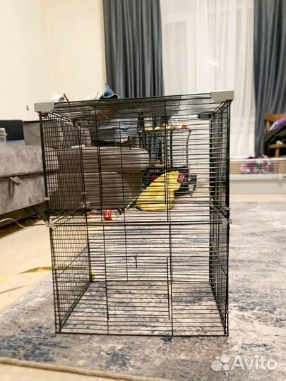 Клетка для грызунов бу, с полочками