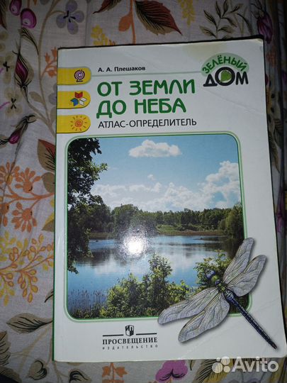 Зелёный дОм