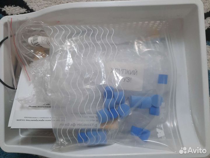 Муравьиная ферма с муравьями