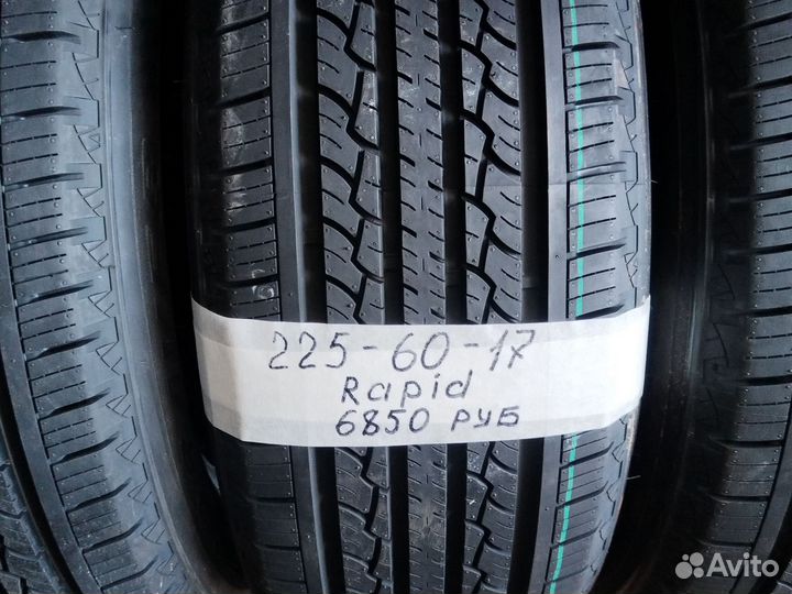 Rapid BlueSnow 205/55 R17 95W