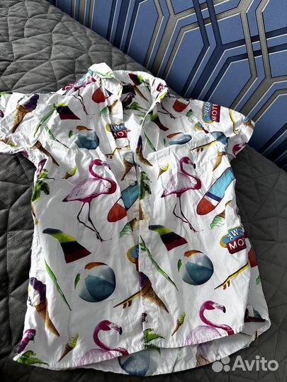 Рубашка next 110